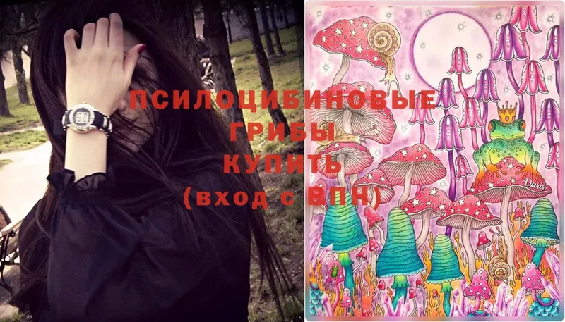 MEGA зеркало  Красноперекопск  Галлюциногенные грибы Magic Shrooms  купить закладку 