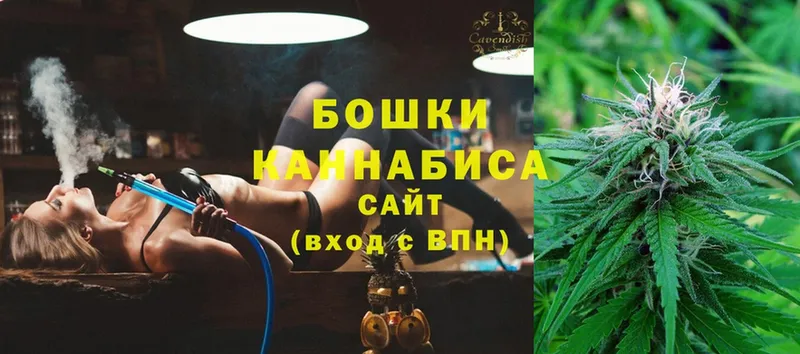 Бошки марихуана THC 21%  наркошоп  Красноперекопск 